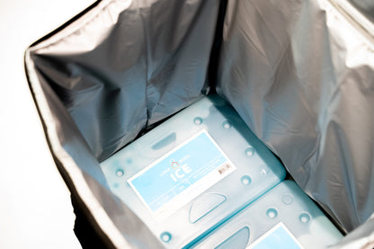 Loxx Boxx Ice inside a cooler